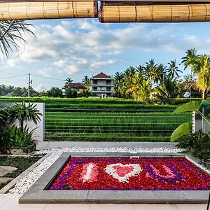 Putih Dcarik Bed & Breakfast